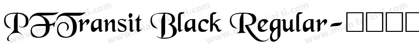 PFTransit Black Regular字体转换